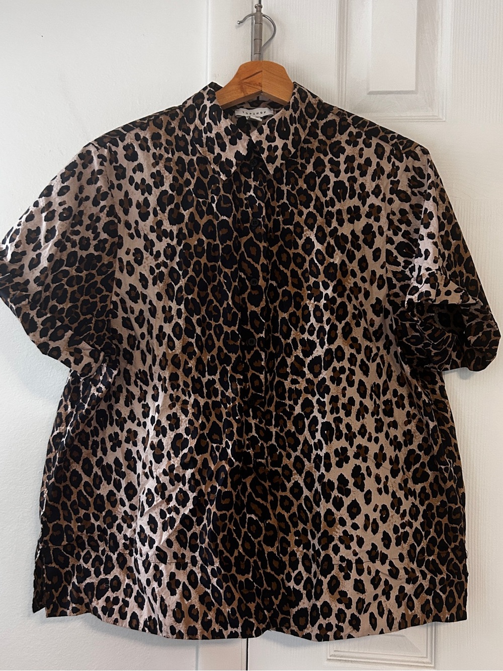 Cheetah print blouse